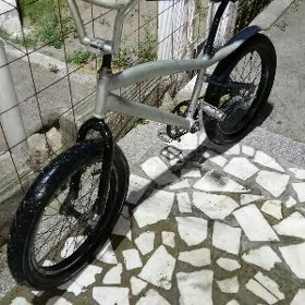 tigit