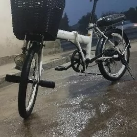welisopet kama 20
