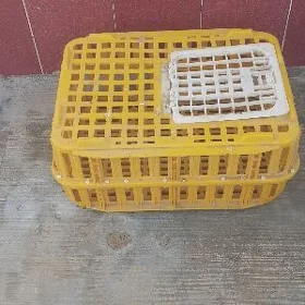 kepderi juje yaşik