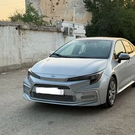 Toyota Corolla 2020