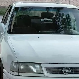 Opel vectra morda
