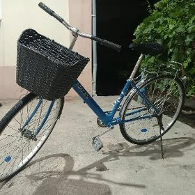 TIGIR 27LIK