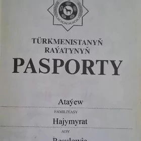 Pasport yitdi