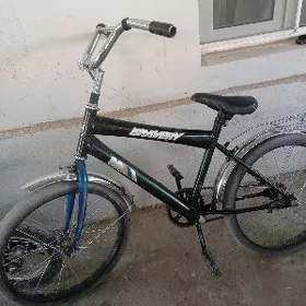 çaga tigir