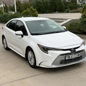 Toyota Corolla 2024