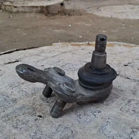 Lisiçka babyçka şarawoý