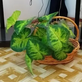 Искусственные цветы