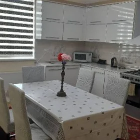 taze zaman kotej