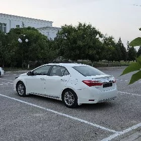 Toyota Corolla 2014