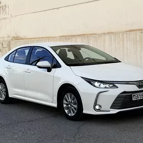 Toyota Corolla 2023
