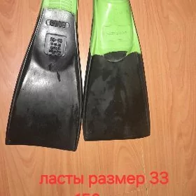 ласты