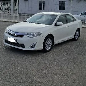 Toyota Camry 2013
