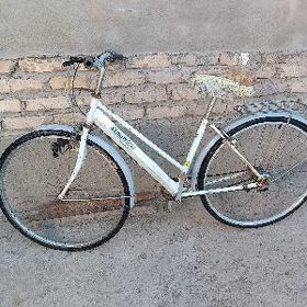 velik 27