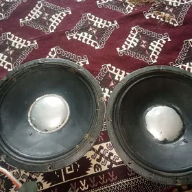 Toy dınamık