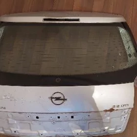 opel singnum aýna
