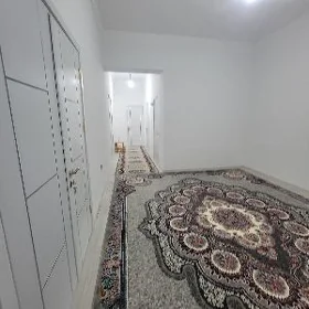 kerpicni elitka zelili koc