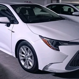 Toyota Corolla 2020