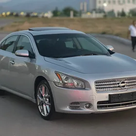 Nissan Maxima 2012