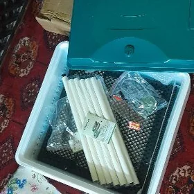 Inkubator