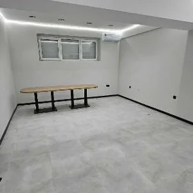 arenda gurtly padwall