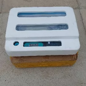 inkubator