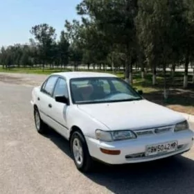 Toyota Corolla 1995