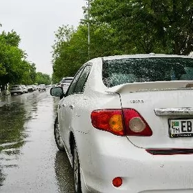 Toyota Corolla 2010