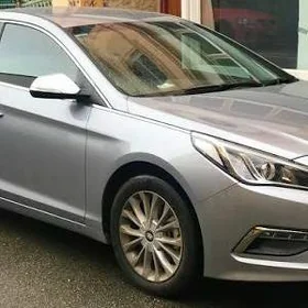 2015/2017 Sonata bagaz kowrik