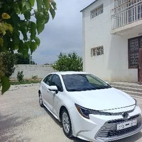 Toyota Corolla 2025