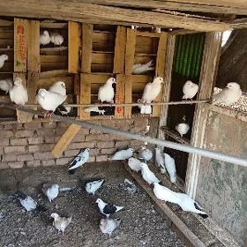 kepderi