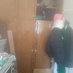 шефонер