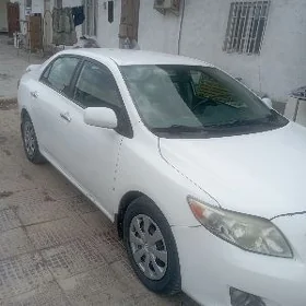 Toyota Corolla 2009