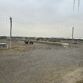 Satlyk Ferma