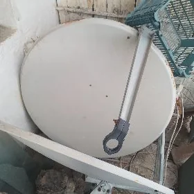 anten kici