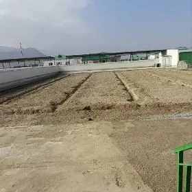 Gokdepe Yangala plan jay