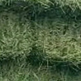 ýorunja