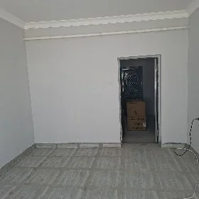 podwal arenda