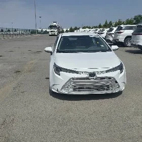 Toyota Corolla 2024
