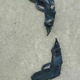 морда