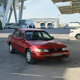 Toyota Corolla 1993