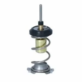 Temostat yaris 1NR