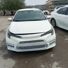 Toyota Corolla 2021