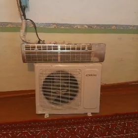 kanisaner