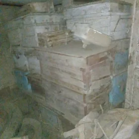 Ary Ýeşik