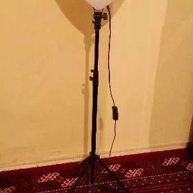 текток