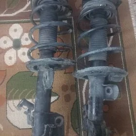 Sentra Amertizator zbor
