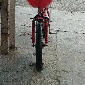Çaga tigir
