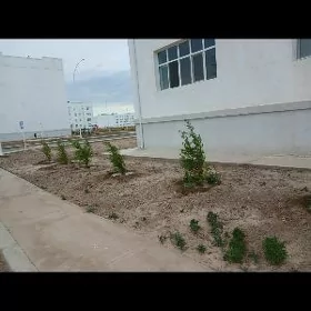 Jaý 70 donda