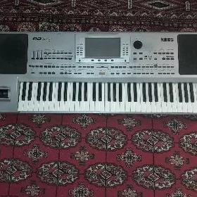 KORG Pa80