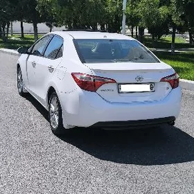 Toyota Corolla 2014